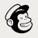 Mailchimp icon